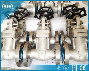 Inonel 600 qalqonlarni muhrlangan eshik valfi